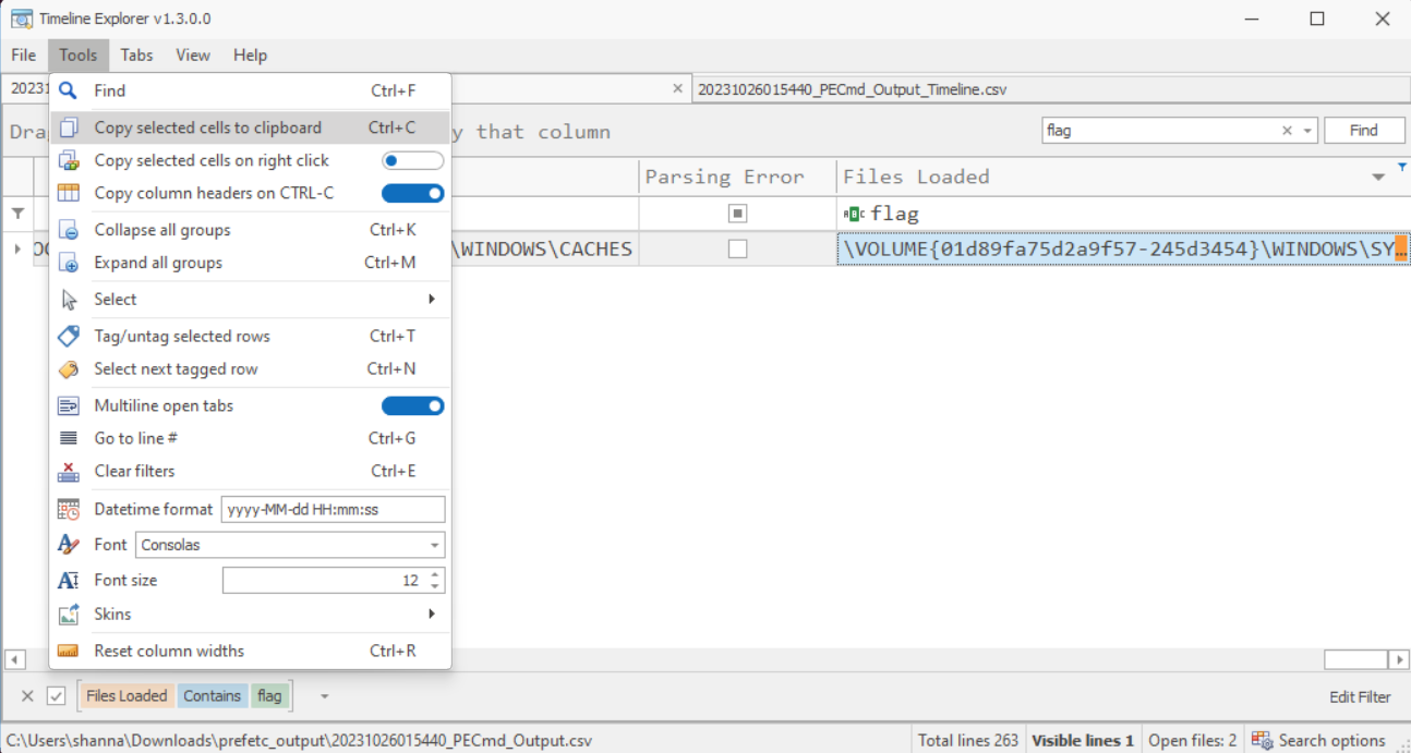 Copied the text from the “Files Loaded column