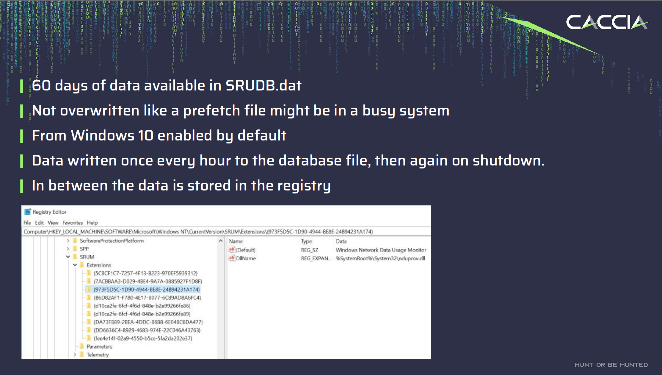 Information in the SRUM DB