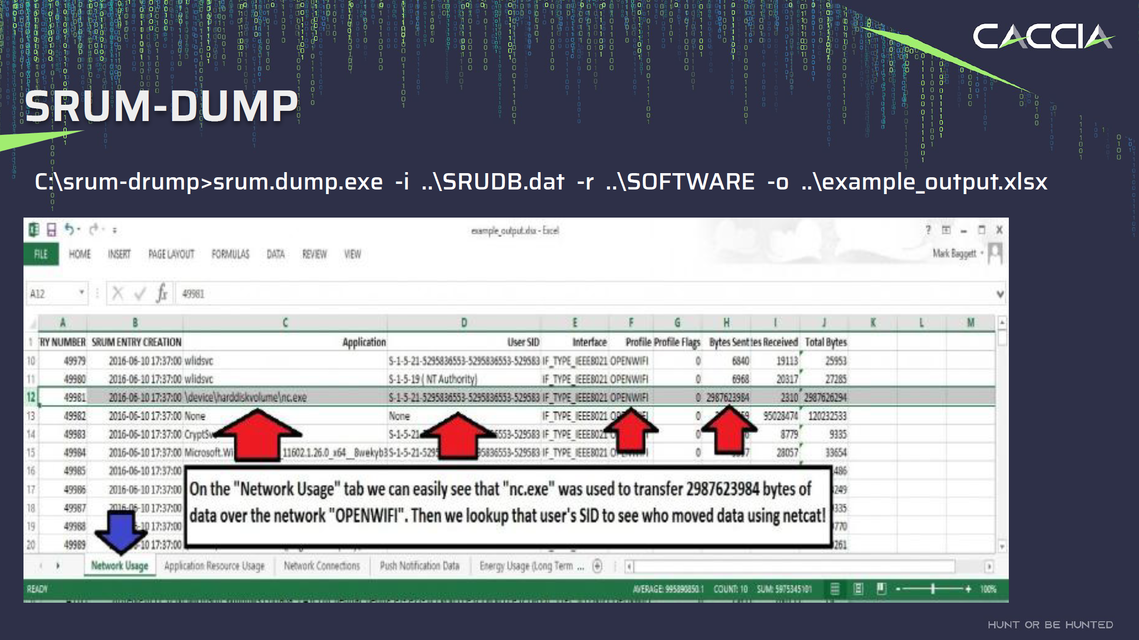 SRUM-DUMP can parse the SRUDB file and export